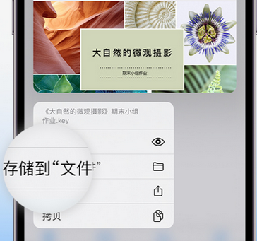 殷都apple维修中心分享iPhone文件应用中存储和找到下载文件