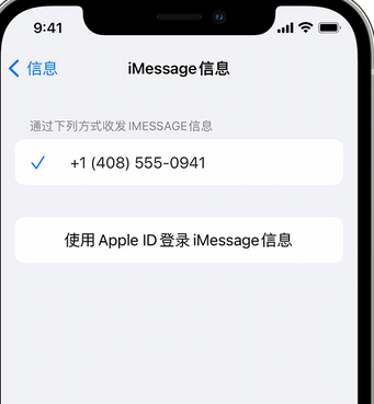 殷都apple维修iPhone上无法正常发送iMessage信息