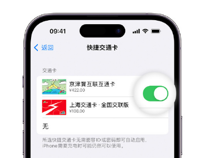 殷都apple维修点分享iPhone上更换Apple Pay快捷交通卡手绘卡面 