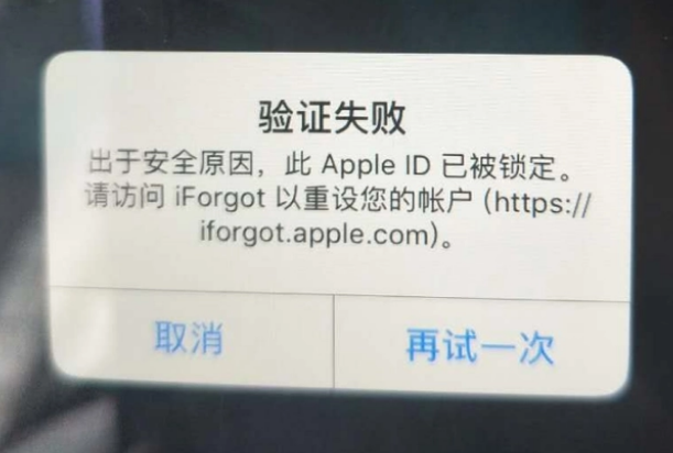 殷都iPhone维修分享iPhone上正常登录或使用AppleID怎么办 