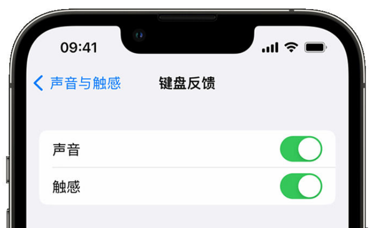 殷都苹果手机维修分享iPhone 14触感键盘使用方法 