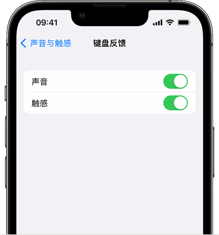 殷都苹果14维修店分享如何在 iPhone 14 机型中使用触感键盘 