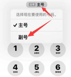 殷都苹果14维修店分享iPhone 14 Pro Max使用副卡打电话的方法 