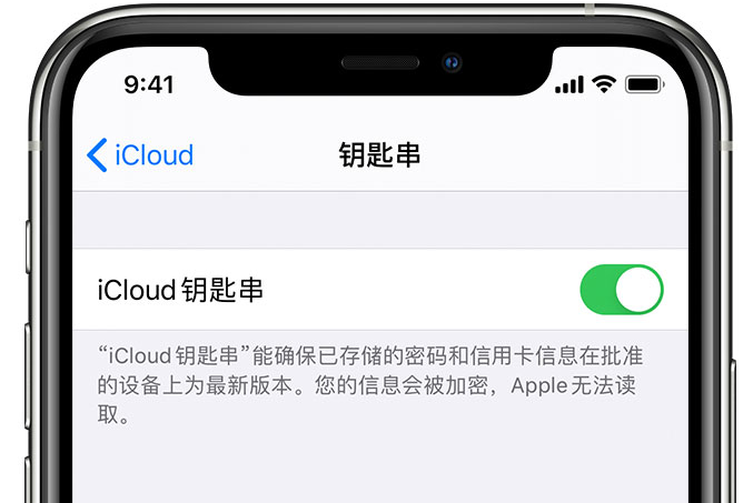 殷都苹果手机维修分享在 iPhone 上开启 iCloud 钥匙串之后会储存哪些信息 