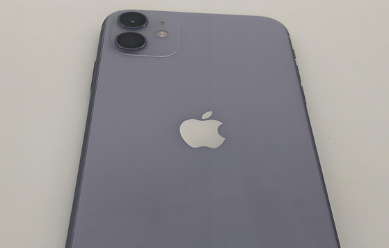殷都苹果11系统维修分享iPhone11手机系统崩溃无法开机如何解决